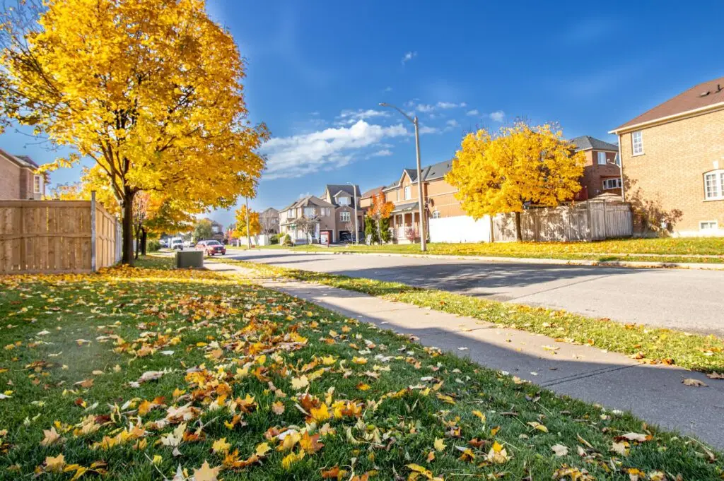 Suburban street with brick houses under a blue sky, lined with trees whose leaves are turning yellow in autumn. Fallen leaves cover the grass and sidewalk, while an Airbnb cohosting service ensures guests enjoy their short-term stay in this picturesque neighborhood.